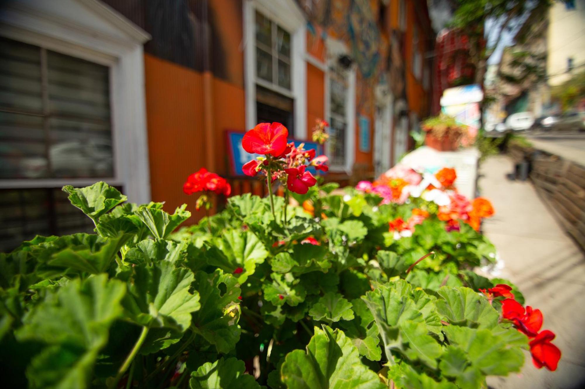 La Casa Del Puerto, Hostal Cultural, Cerro Alegre Valparaiso Exterior photo